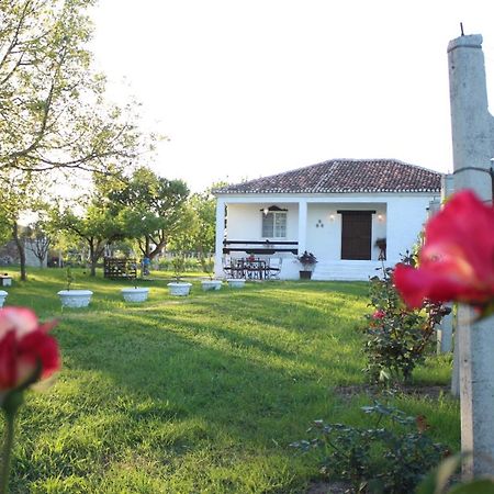 שקודר "Per Mik" Cottage In Vineyard מראה חיצוני תמונה