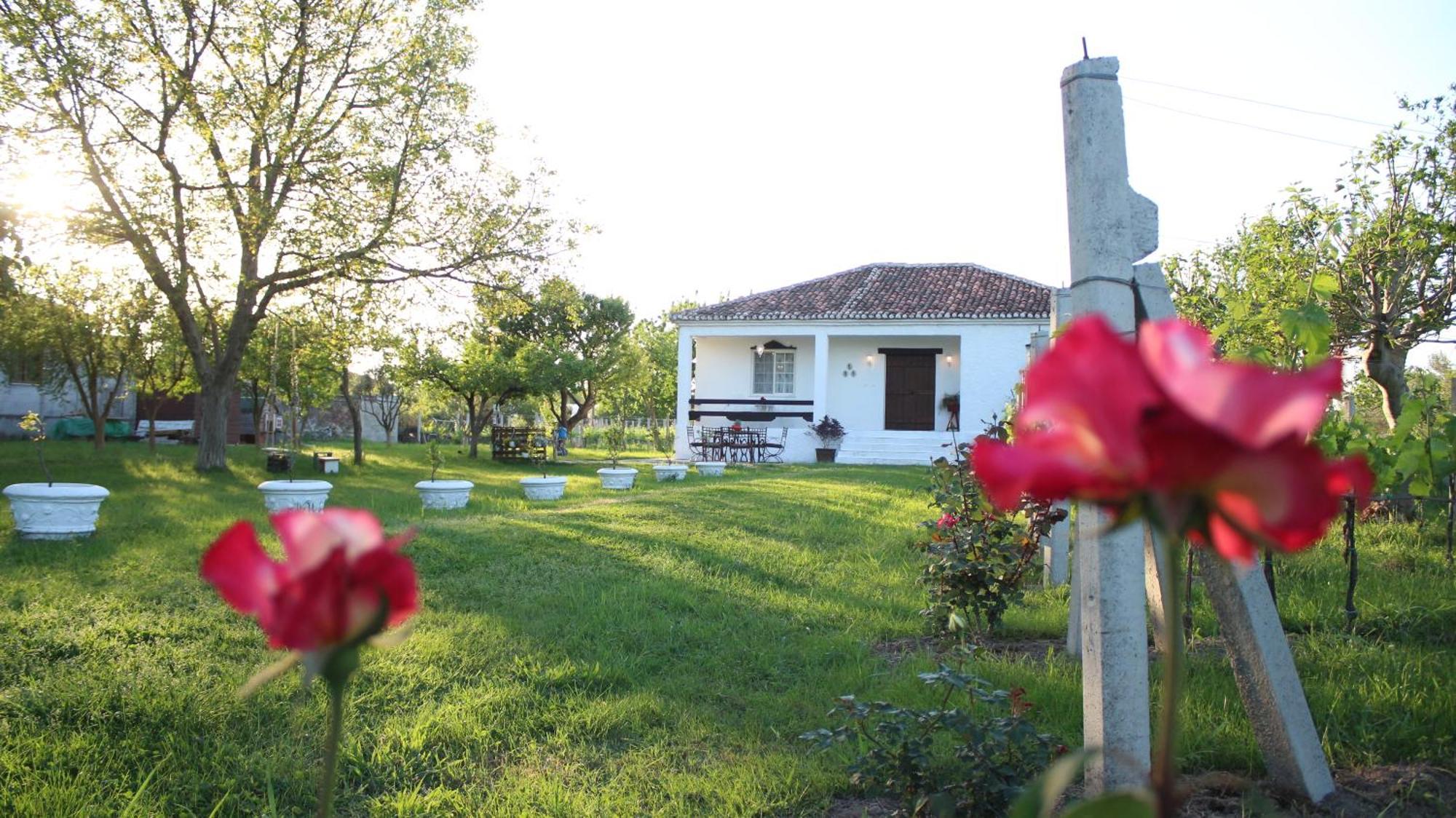 שקודר "Per Mik" Cottage In Vineyard מראה חיצוני תמונה