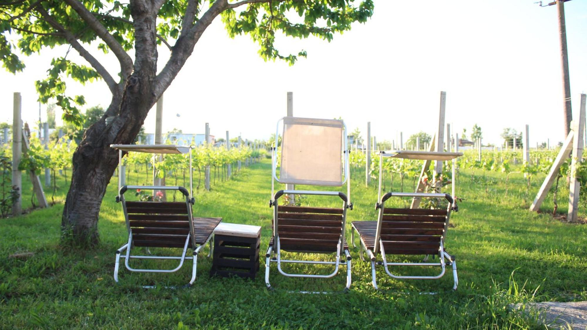 שקודר "Per Mik" Cottage In Vineyard מראה חיצוני תמונה
