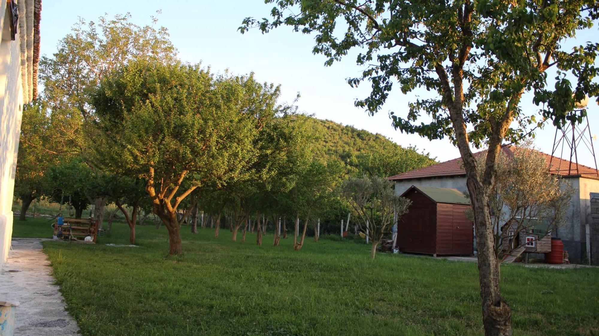 שקודר "Per Mik" Cottage In Vineyard מראה חיצוני תמונה